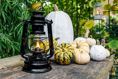 Feuerhand Stormlantaarn 276 kopen