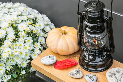 Feuerhand Stormlantaarn 276 kopen