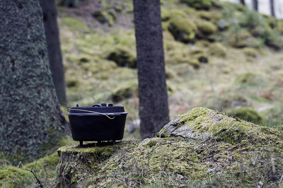 Petromax Dutch Oven FT12 kopen